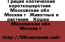  Грация кзотическая короткошерстная - Московская обл., Москва г. Животные и растения » Кошки   . Московская обл.,Москва г.